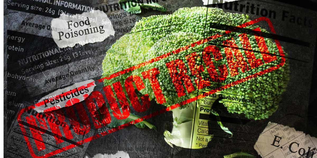 5 Errores comunes en el etiquetado de alimentos que deben evitarse